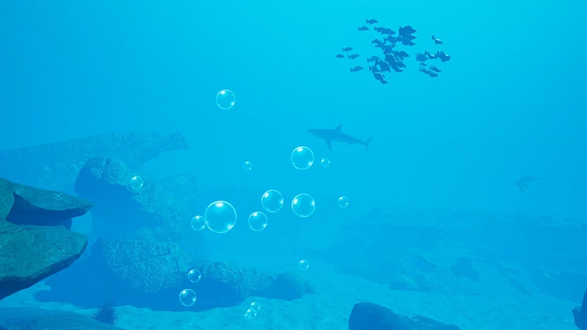 How to Rescue a Reef 
