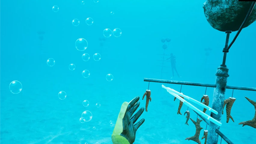 How to Rescue a Reef 