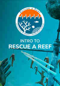 How to Rescue a Reef 