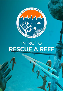 How to Rescue a Reef 