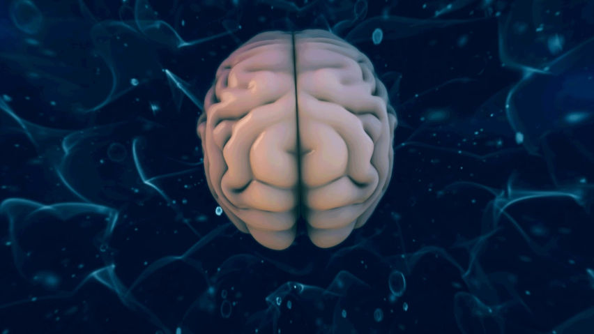 NEUROPILOT