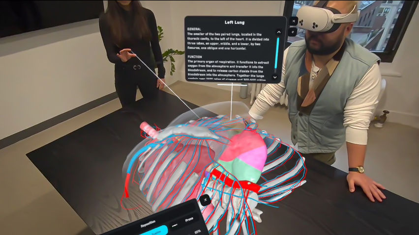 AnatomyX