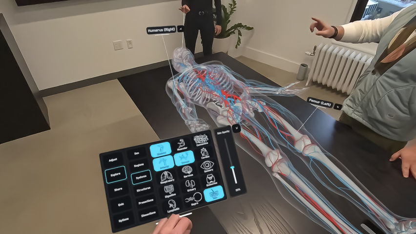 AnatomyX