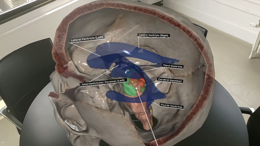 AnatomyX