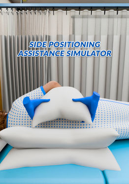 Side Positioning Assistance Simulator