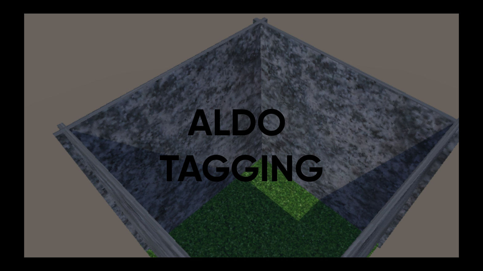 Aldo Tagging