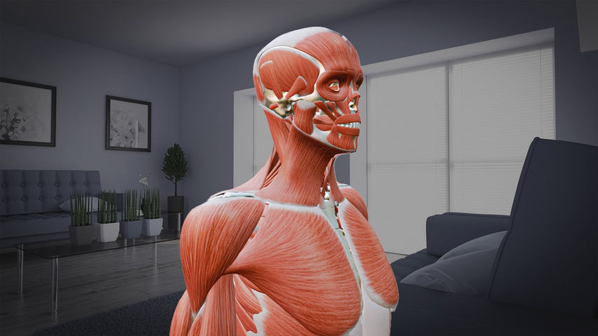 anatomyXR