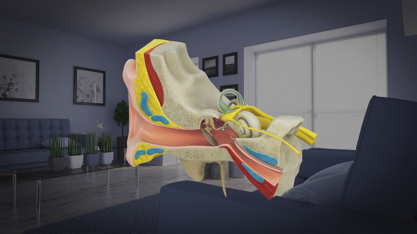 anatomyXR