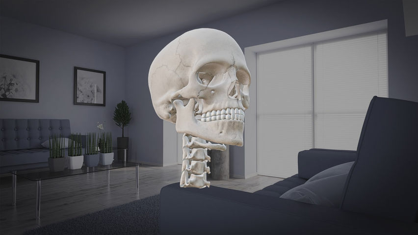 anatomyXR