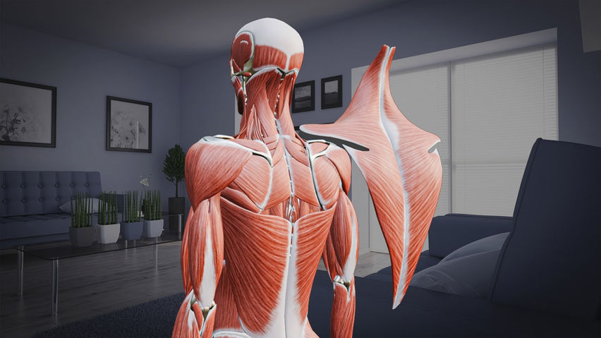 anatomyXR