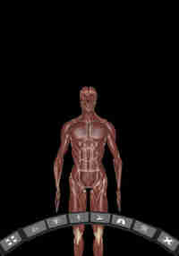 DeepAnatomy VR