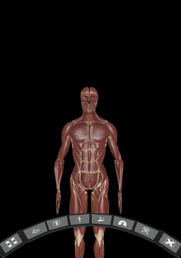 DeepAnatomy VR
