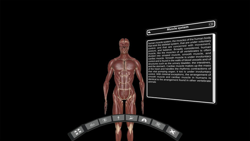 DeepAnatomy VR