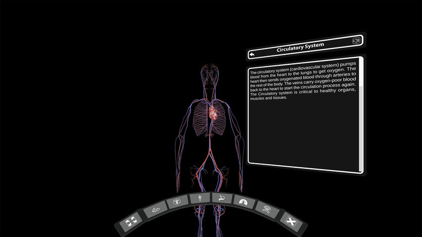 DeepAnatomy VR