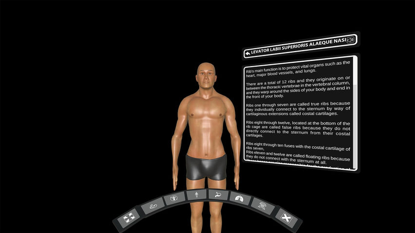 DeepAnatomy VR