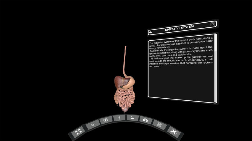 DeepAnatomy VR