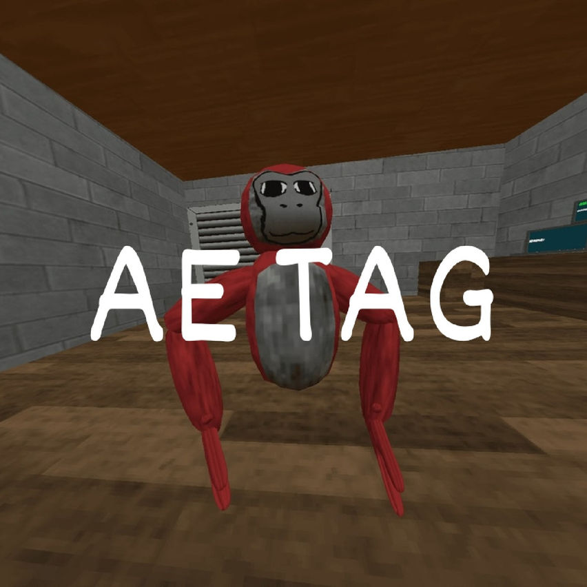 AE Tag