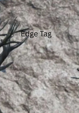 Edge Tag