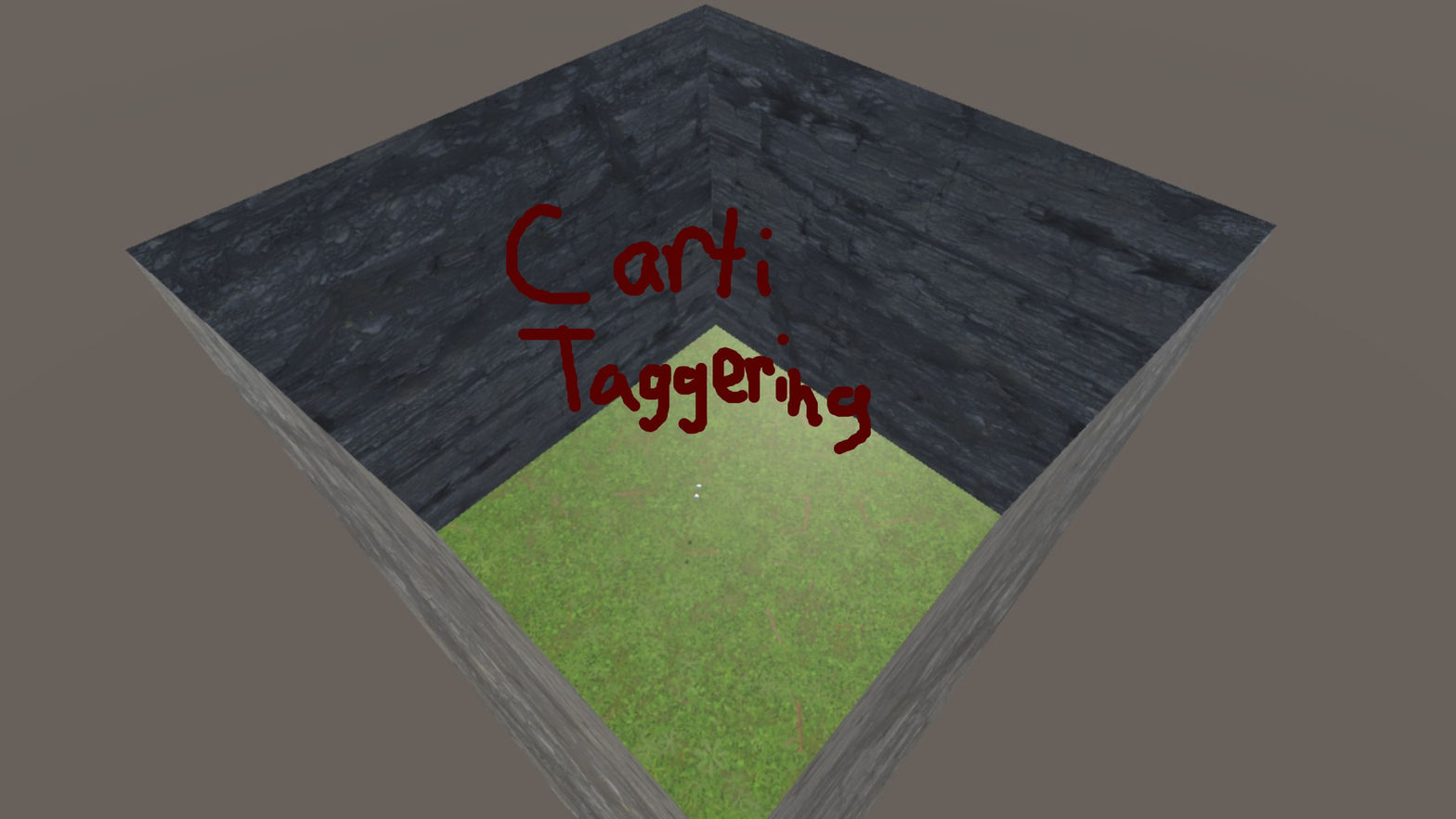 Carti Taggering