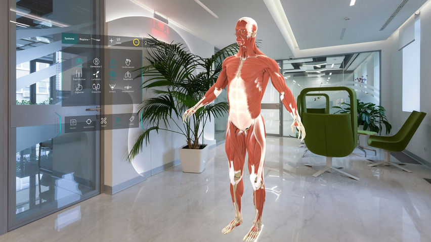 HoloHuman+