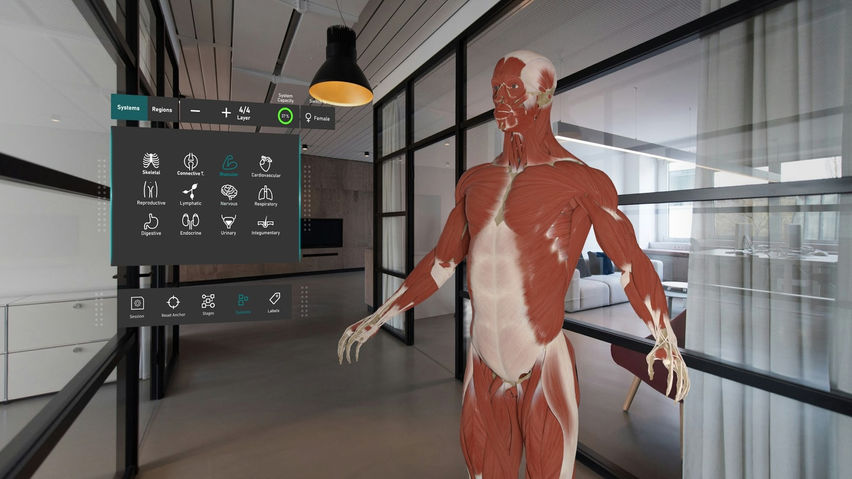 HoloHuman+