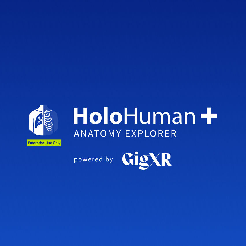 HoloHuman+