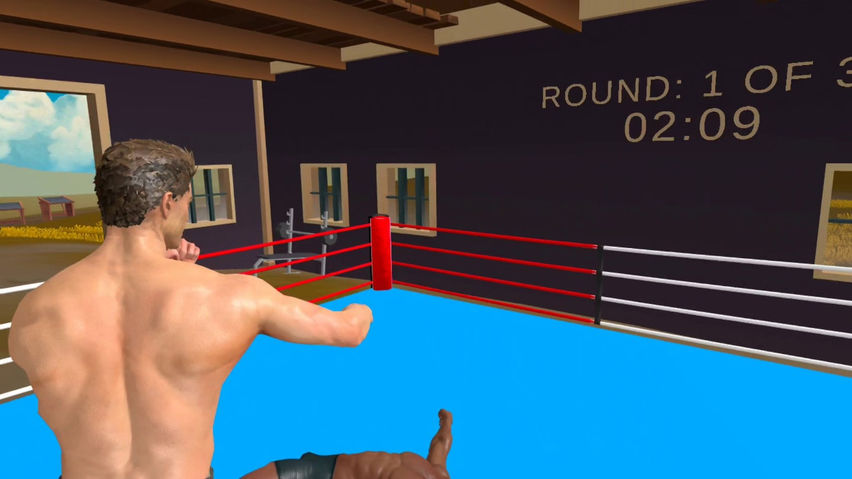 Boxing Academy VR