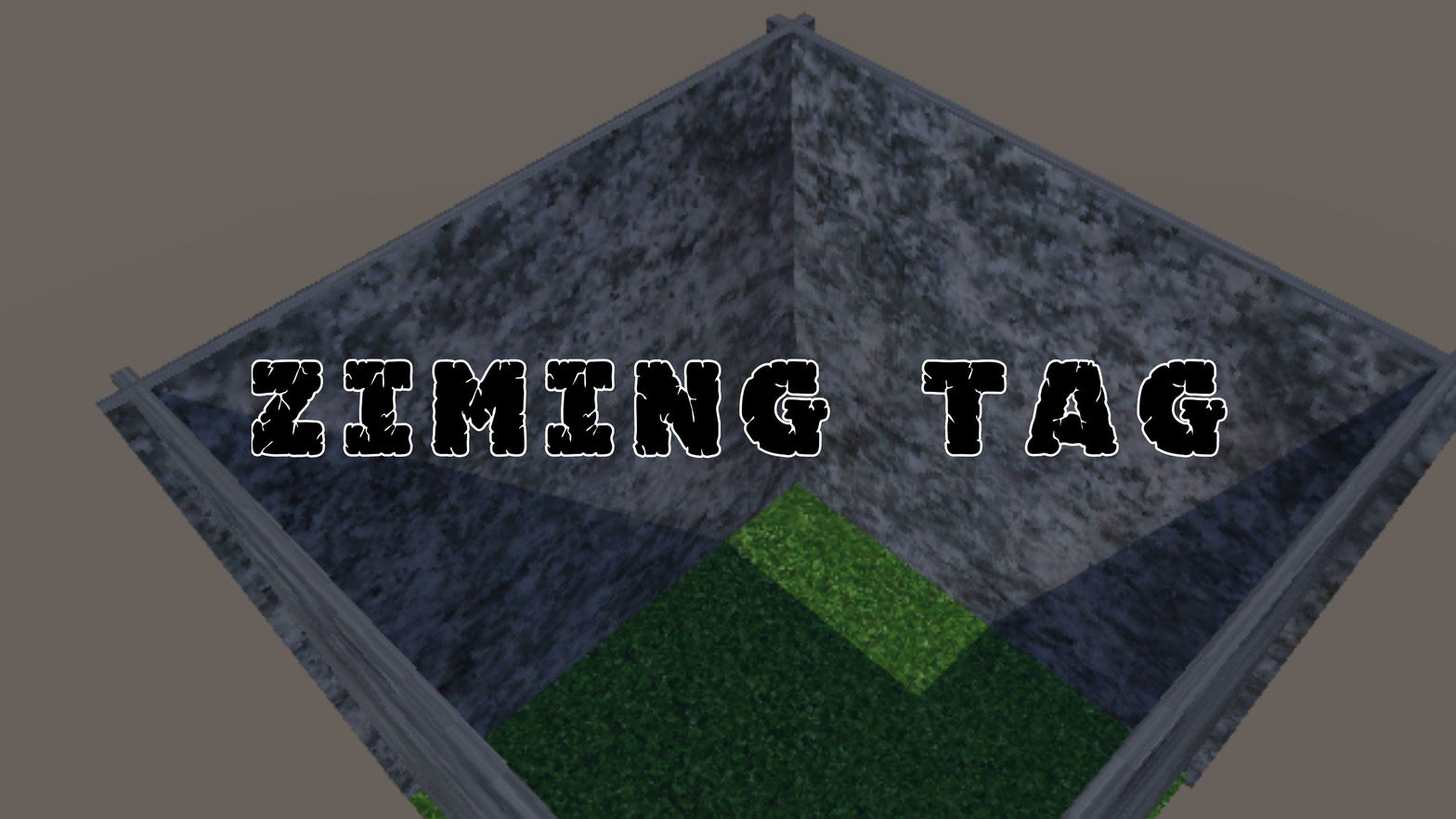 Ziming Tag