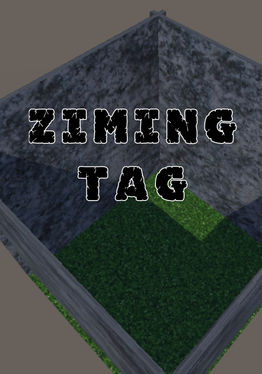 Ziming Tag