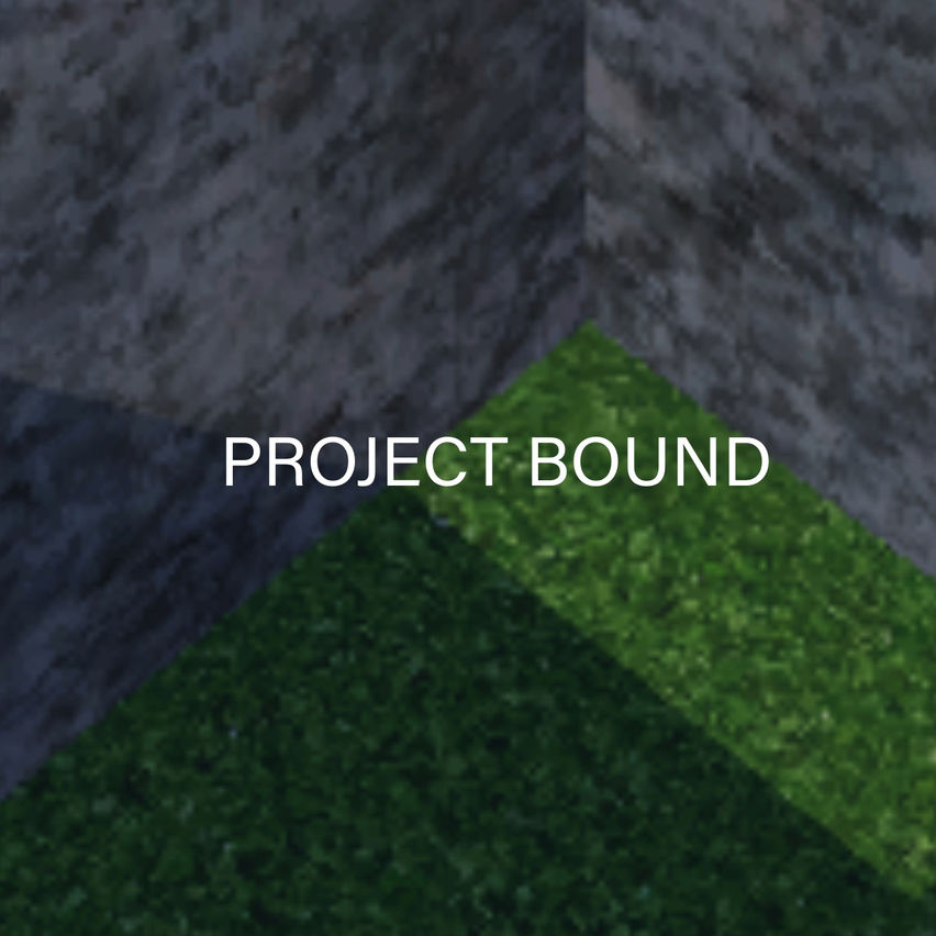 Project Bound