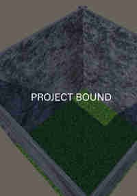 Project Bound