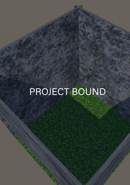 Project Bound