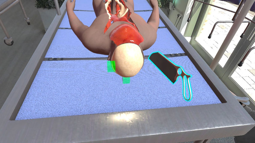 LuminousXR Autopsy