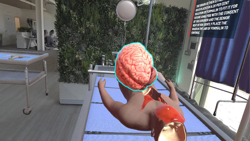 LuminousXR Autopsy