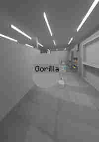 Gorilla᲼