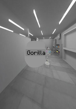Gorilla᲼