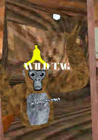 Wild Tag