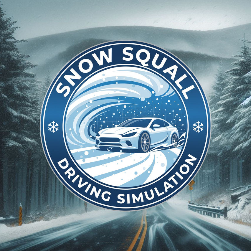 Snow Squall Driving Simulation