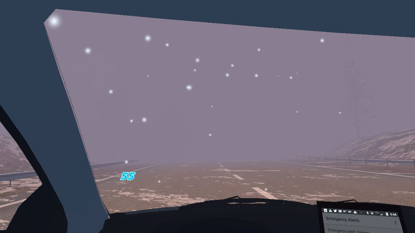 Snow Squall Driving Simulation