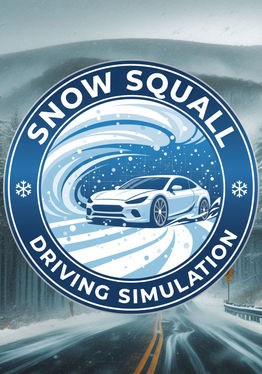 Snow Squall Driving Simulation