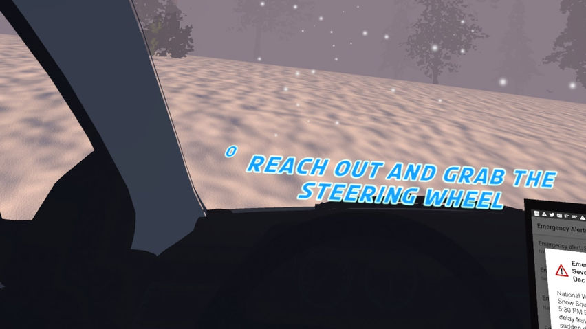 Snow Squall Driving Simulation