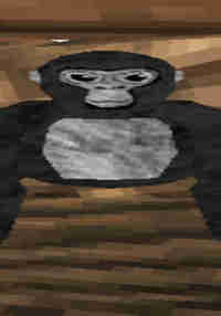 project jeff