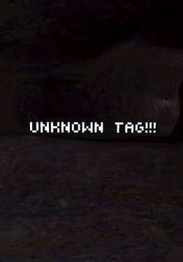 Unknown Tag v100