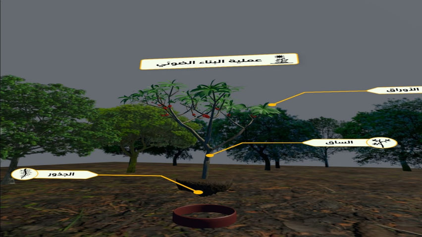 Selaheltelmeez VR