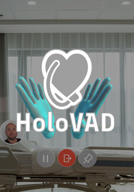 HoloVAD