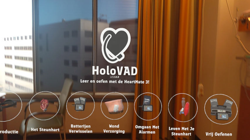 HoloVAD