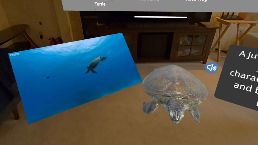 Mixed Reality Museum | By Halo AR - Educational learning exhibits w/ AI teaching
