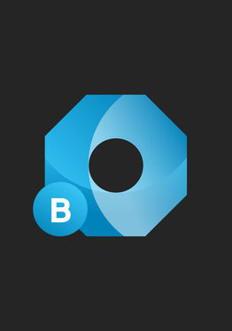 BraIND 4.0