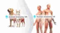 Anatomy XR Bundle