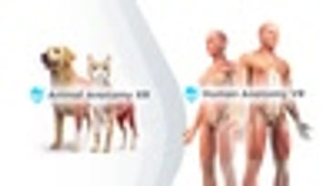 Anatomy XR Bundle
